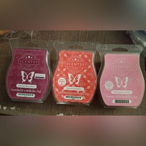 Scentsy Wax Melts